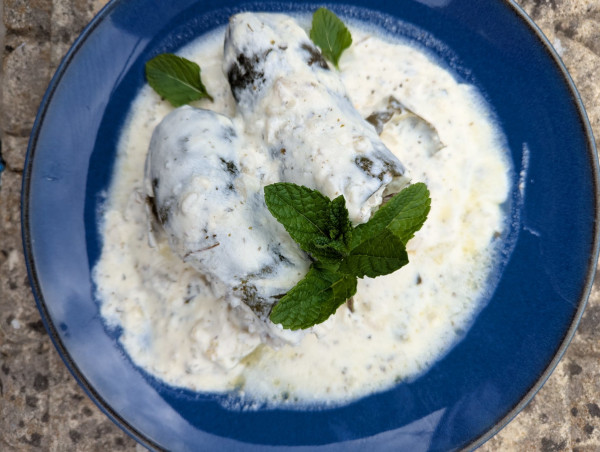 Courgette with creamy sauce a dish with courgettes in a creamy sauce