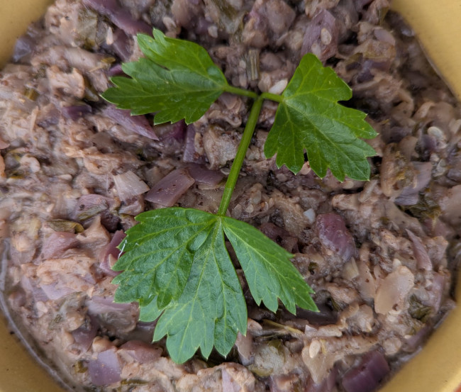 Lebanese dish A dish of rice and courgettes and onions